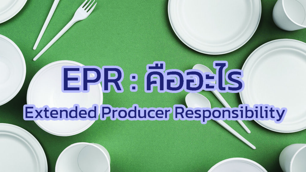 รีไซเคิล (Recycle) VS รียูส (Reuse) คืออะไร? ต่างกันอย่างไร? – N.B.J ...